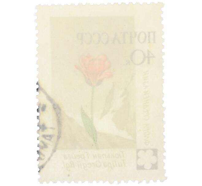 Почтовая марка 40 копеек 1960 года «Флора Средней Азии — Тюльпан Грейга» (Артикул: K12-79272) — Фото №2
