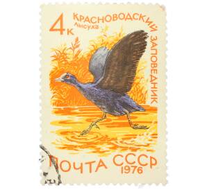 Почтовая марка 4 копейки 1976 года «Красноводский заповедник — Лысуха» — Фото №1