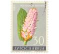 Почтовая марка 30 динар 1963 года Югославия «Цветы — Горец змеиный « (Артикул: K12-79298) — Фото №1