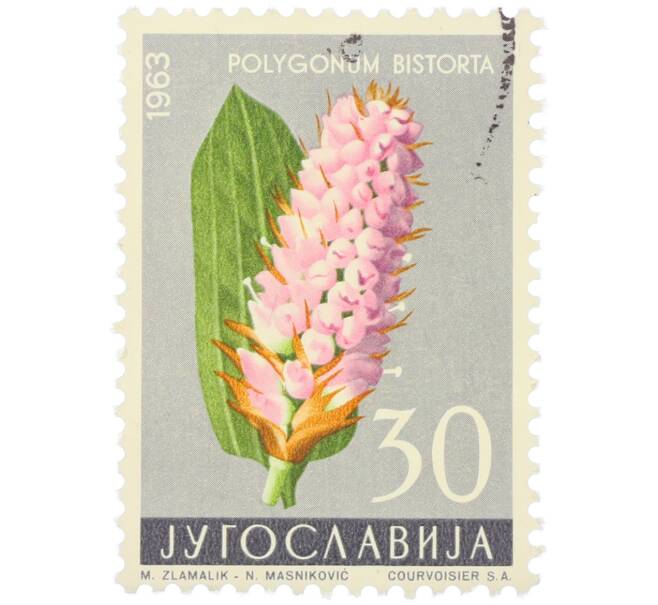 Почтовая марка 30 динар 1963 года Югославия «Цветы — Горец змеиный « (Артикул: K12-79298) — Фото №1