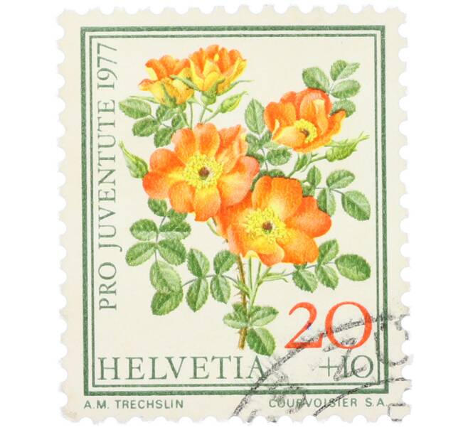 Почтовая марка 20+10 раппенов 1977 года Швейцария «Pro Juventute — Австрийская медно-красная роза» (Артикул: K12-79299) — Фото №1