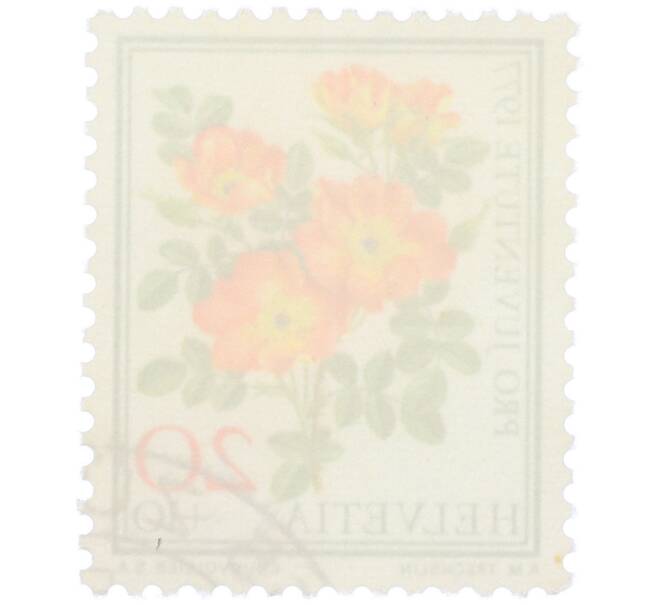 Почтовая марка 20+10 раппенов 1977 года Швейцария «Pro Juventute — Австрийская медно-красная роза» (Артикул: K12-79299) — Фото №2