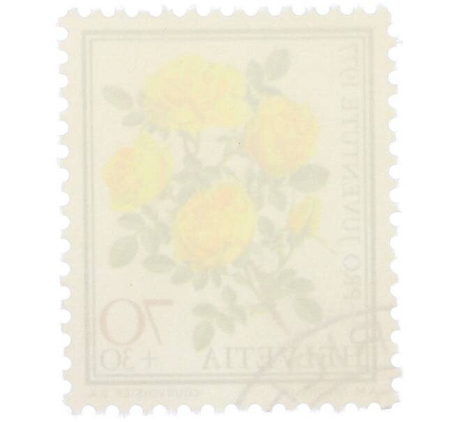 Почтовая марка 70+30 раппенов 1977 года Швейцария «Pro Juventute — Персидская желтая роза» (Артикул: K12-79300) — Фото №2