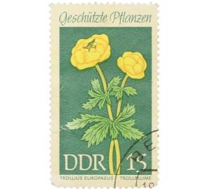 Почтовая марка 15 пфеннигов 1969 года Восточная Германия (ГДР) «Защищенные растения — Купальница европейская» — Фото №1