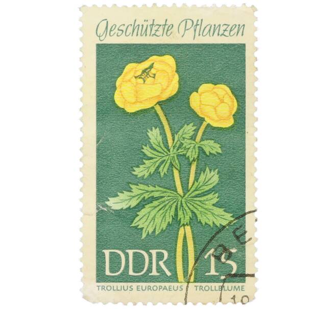 Почтовая марка 15 пфеннигов 1969 года Восточная Германия (ГДР) «Защищенные растения — Купальница европейская» (Артикул: K12-79302) — Фото №1