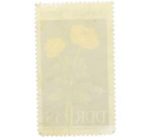 Почтовая марка 15 пфеннигов 1969 года Восточная Германия (ГДР) «Защищенные растения — Купальница европейская» — Фото №2