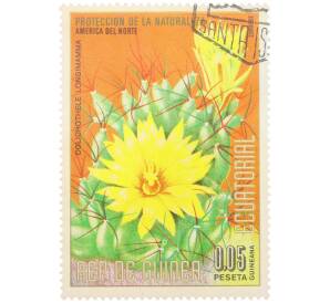 Почтовая марка 0.05 песеты 1974 года Экваториальная Гвинея «Охрана природы — Маммиллярия длиннососочковая» — Фото №1