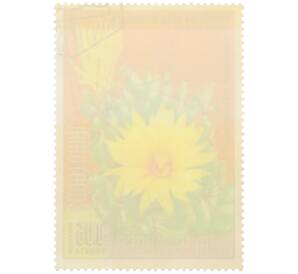 Почтовая марка 0.05 песеты 1974 года Экваториальная Гвинея «Охрана природы — Маммиллярия длиннососочковая» — Фото №2