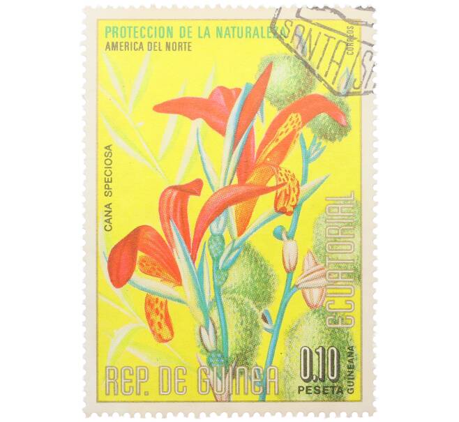 Почтовая марка 0.1 песеты 1974 года Экваториальная Гвинея «Охрана природы — Канна красивая» (Артикул: K12-79304) — Фото №1