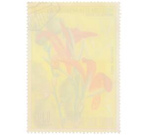 Почтовая марка 0.1 песеты 1974 года Экваториальная Гвинея «Охрана природы — Канна красивая» — Фото №2