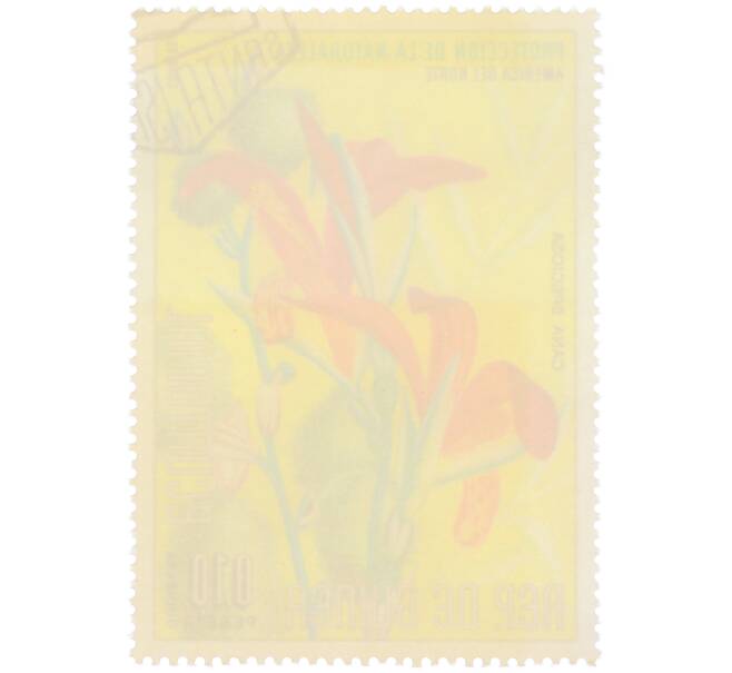 Почтовая марка 0.1 песеты 1974 года Экваториальная Гвинея «Охрана природы — Канна красивая» (Артикул: K12-79304) — Фото №2