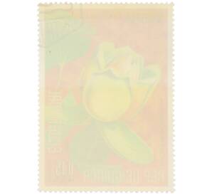 Почтовая марка 0.15 песеты 1974 года Экваториальная Гвинея «Охрана природы — Лириодендрон тюльпановый» — Фото №2