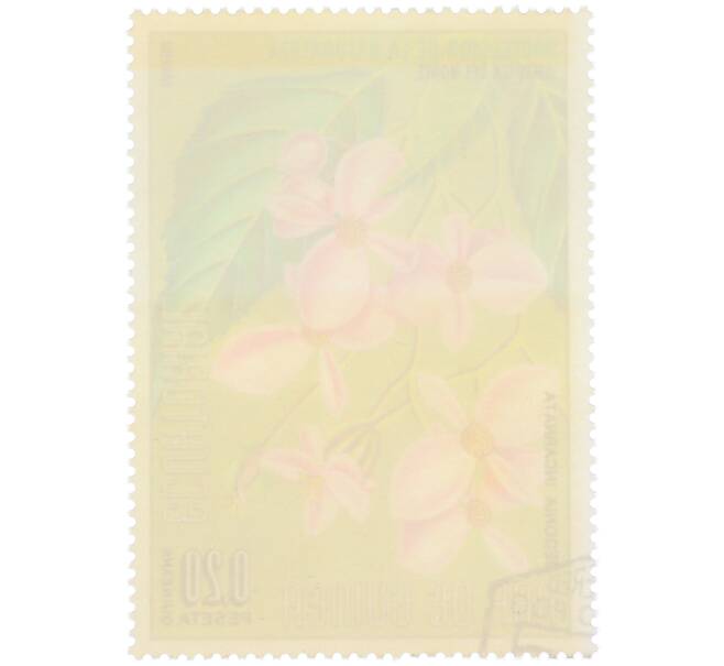 Почтовая марка 0.2 песеты 1974 года Экваториальная Гвинея «Охрана природы — Бегония телесноцветная» (Артикул: K12-79306) — Фото №2