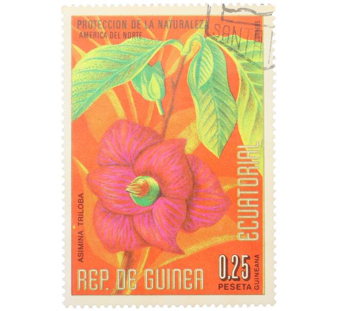 Почтовая марка 0.25 песеты 1974 года Экваториальная Гвинея «Охрана природы — Азимина трехлопастная» (Артикул: K12-79307) — Фото №1