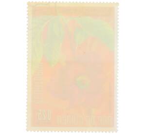 Почтовая марка 0.25 песеты 1974 года Экваториальная Гвинея «Охрана природы — Азимина трехлопастная» — Фото №2