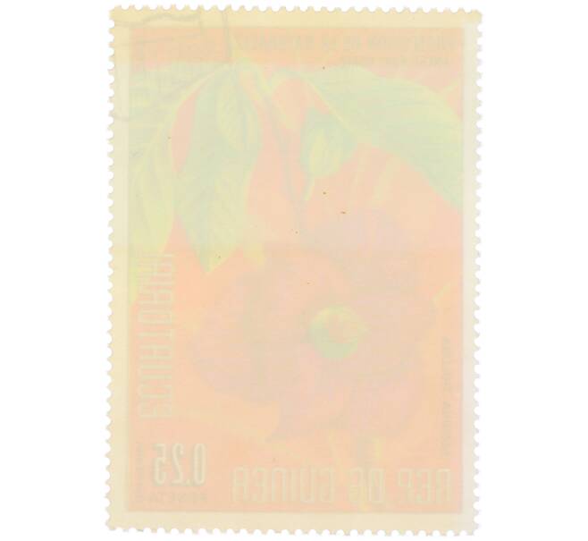 Почтовая марка 0.25 песеты 1974 года Экваториальная Гвинея «Охрана природы — Азимина трехлопастная» (Артикул: K12-79307) — Фото №2