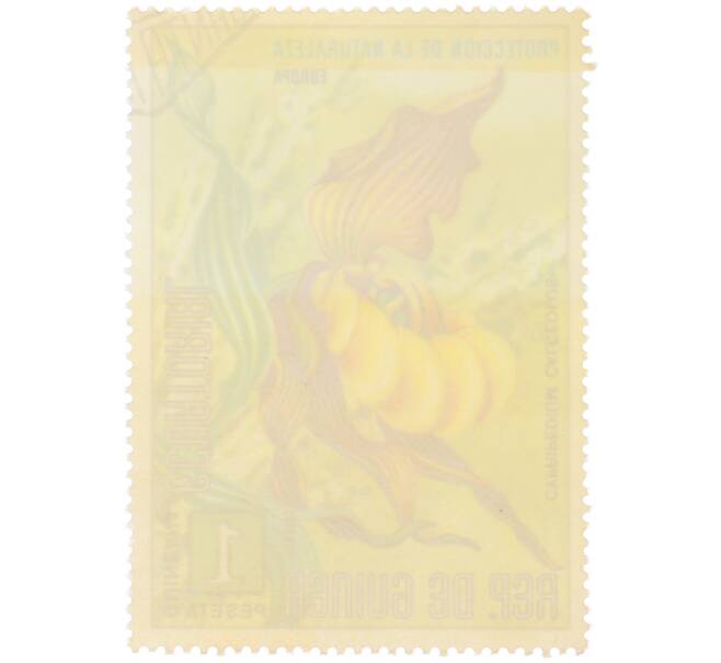 Почтовая марка 1 песета 1974 года Экваториальная Гвинея «Охрана природы — Башмачок настоящий» (Артикул: K12-79308) — Фото №2