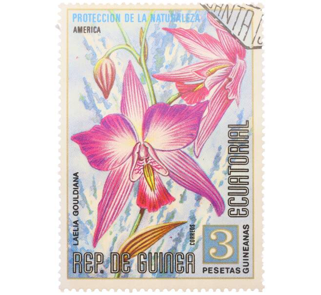 Почтовая марка 3 песеты 1974 года Экваториальная Гвинея «Охрана природы — Лелия Гульда» (Артикул: K12-79309) — Фото №1