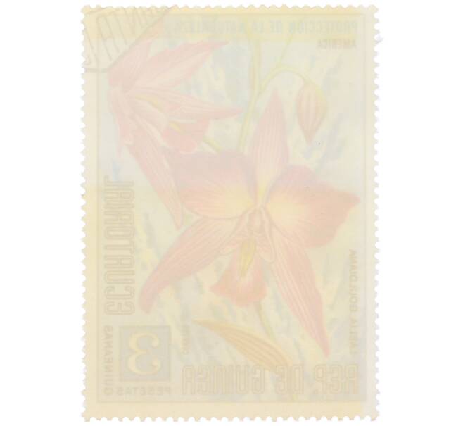 Почтовая марка 3 песеты 1974 года Экваториальная Гвинея «Охрана природы — Лелия Гульда» (Артикул: K12-79309) — Фото №2