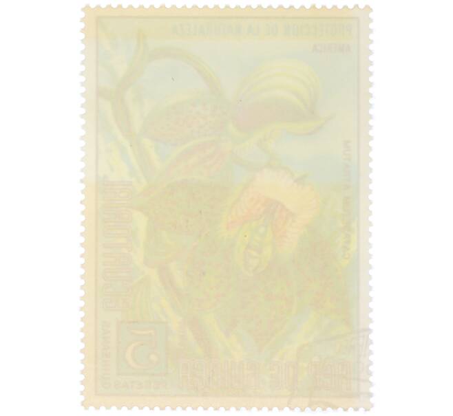 Почтовая марка 5 песет 1974 года Экваториальная Гвинея «Охрана природы — Катасетум темный» (Артикул: K12-79310) — Фото №2