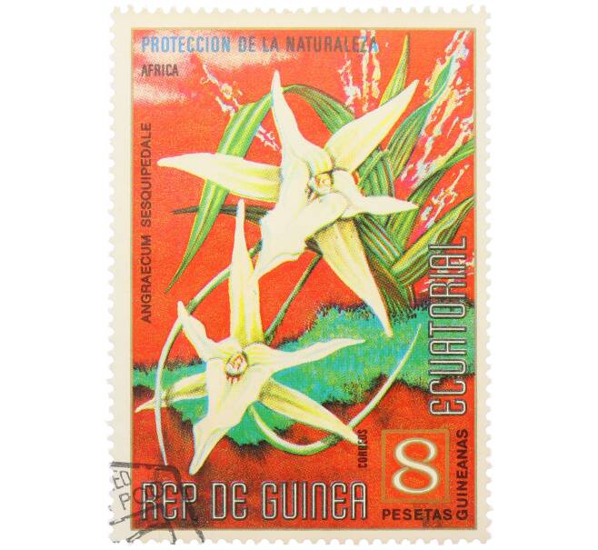 Почтовая марка 8 песет 1974 года Экваториальная Гвинея «Охрана природы — Рождественская орхидея» (Артикул: K12-79311) — Фото №1
