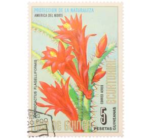 Почтовая марка 5 песет 1974 года Экваториальная Гвинея «Охрана природы — Апорокактус плетевидный» — Фото №1