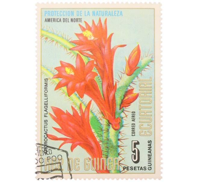 Почтовая марка 5 песет 1974 года Экваториальная Гвинея «Охрана природы — Апорокактус плетевидный» (Артикул: K12-79315) — Фото №1