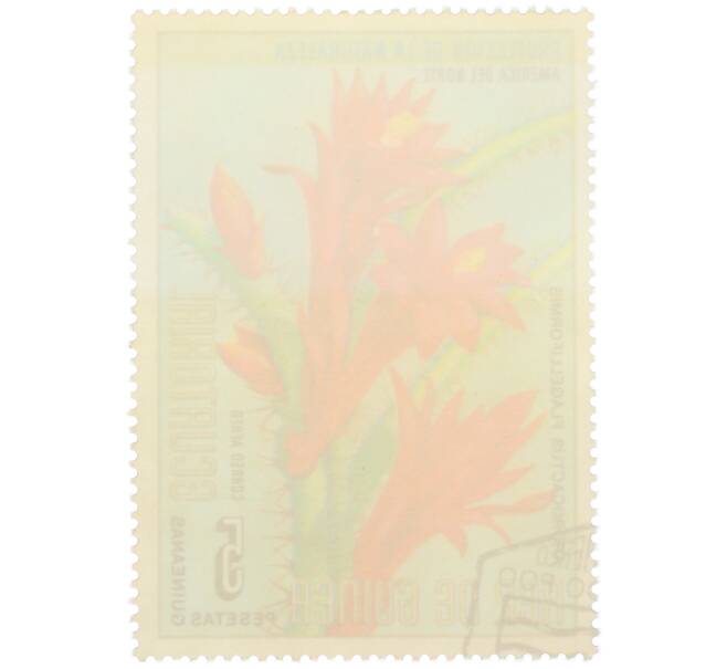 Почтовая марка 5 песет 1974 года Экваториальная Гвинея «Охрана природы — Апорокактус плетевидный» (Артикул: K12-79315) — Фото №2