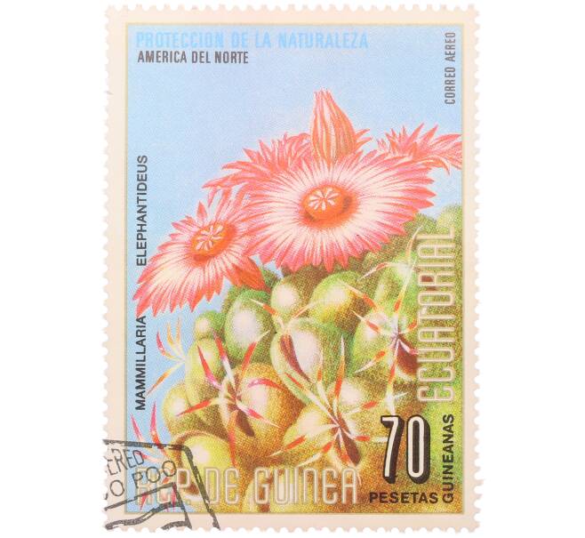 Почтовая марка 70 песет 1974 года Экваториальная Гвинея «Охрана природы — Маммиллярия слоновозубчатая» (Артикул: K12-79316) — Фото №1