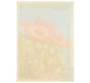 Почтовая марка 70 песет 1974 года Экваториальная Гвинея «Охрана природы — Маммиллярия слоновозубчатая» — Фото №2