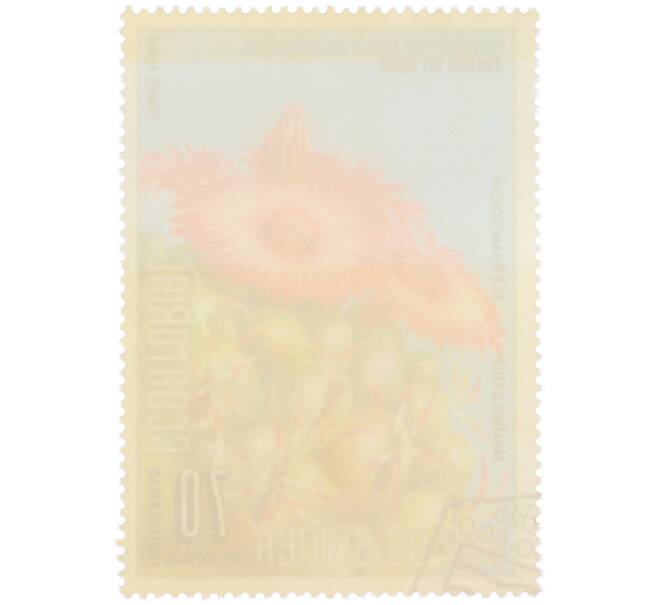 Почтовая марка 70 песет 1974 года Экваториальная Гвинея «Охрана природы — Маммиллярия слоновозубчатая» (Артикул: K12-79316) — Фото №2