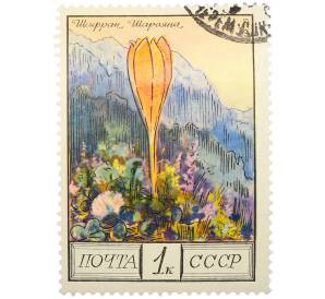 Почтовая марка 1 копейка 1976 года «Цветы гор Кавказа — Шафран Шараяна» — Фото №1