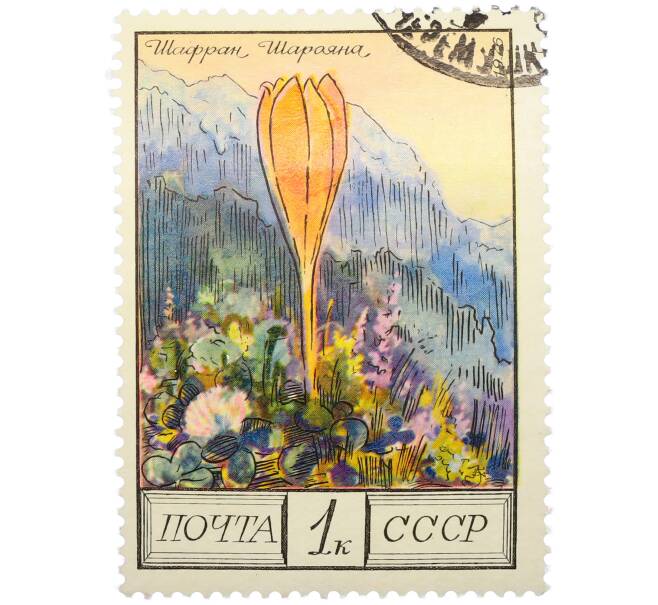 Почтовая марка 1 копейка 1976 года «Цветы гор Кавказа — Шафран Шараяна» (Артикул: K12-79323) — Фото №1