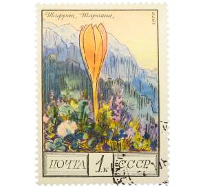 Почтовая марка 1 копейка 1976 года «Цветы гор Кавказа — Шафран Шараяна» — Фото №1
