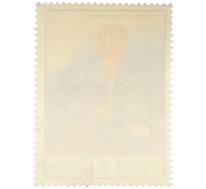 Почтовая марка 1 копейка 1976 года «Цветы гор Кавказа — Шафран Шараяна» (Артикул: K12-79324) — Фото №2