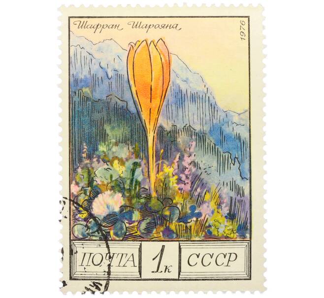 Почтовая марка 1 копейка 1976 года «Цветы гор Кавказа — Шафран Шараяна» (Артикул: K12-79325) — Фото №1