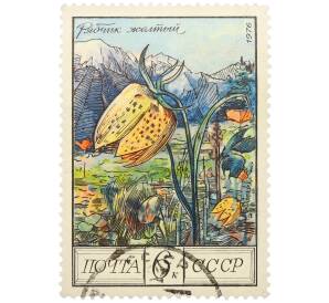 Почтовая марка 6 копеек 1976 года «Цветы гор Кавказа — Рябчик желтый» — Фото №1