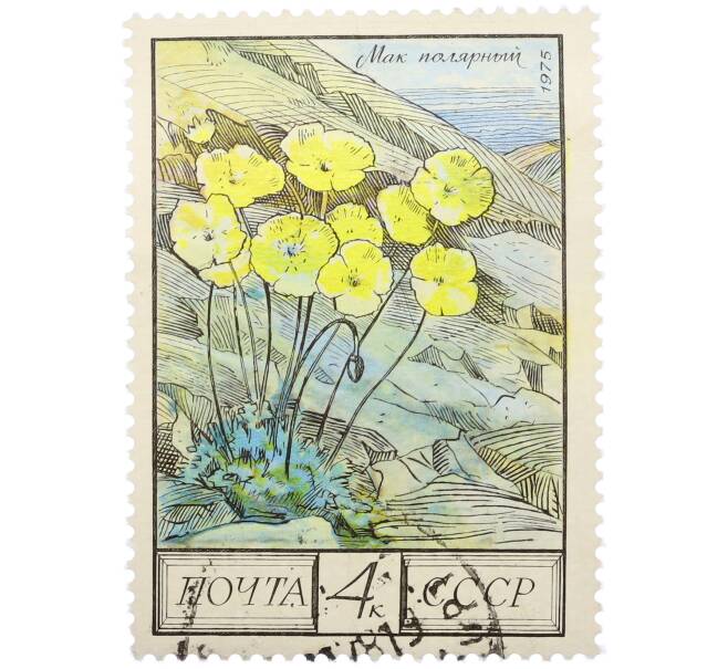 Почтовая марка 4 копейки 1976 года «Флора СССР — Мак полярный» (Артикул: K12-79332) — Фото №1