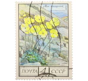 Почтовая марка 4 копейки 1976 года «Флора СССР — Мак полярный» — Фото №1