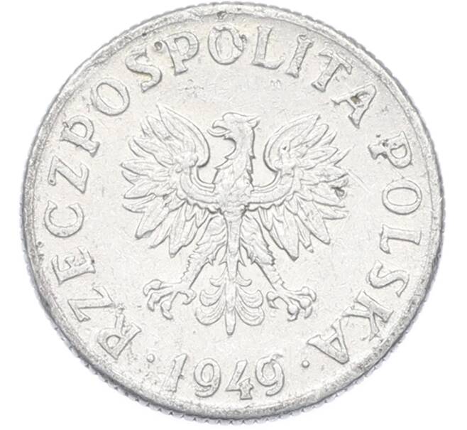 Монета 2 гроша 1949 года Польша (Артикул: K12-79377) — Фото №1
