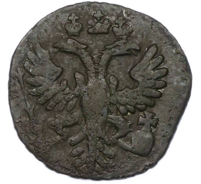 Монета Полушка 1731 года (Артикул: T11-40099) — Фото №2