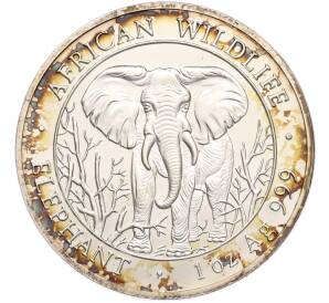1000 шиллингов 2004 года Сомали «Дикая природа Африки — Слон» — Фото №1