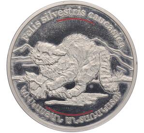 100 драм 2006 года Армения «Дикий мир Кавказа — Кавказская лесная кошка» — Фото №1