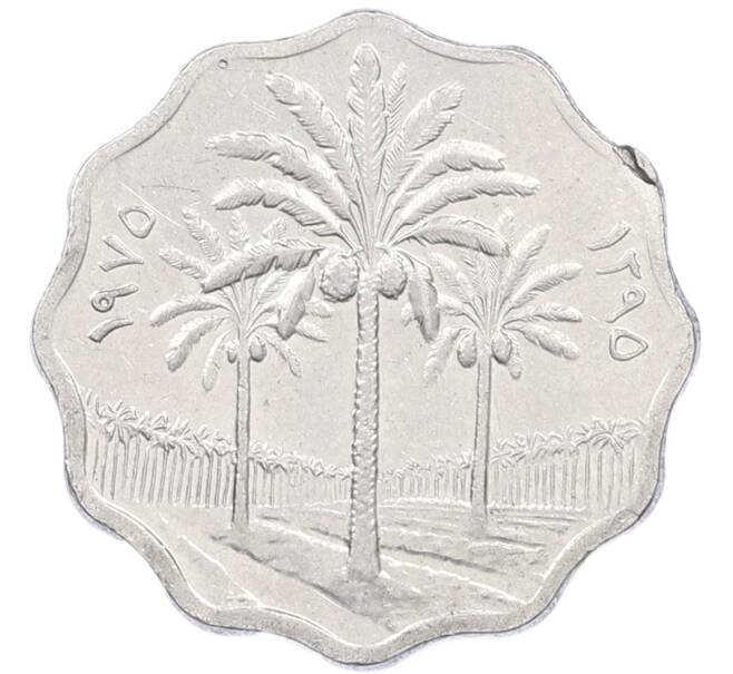 Монета 5 филс 1975 года Ирак (Артикул: K12-79774) — Фото №1