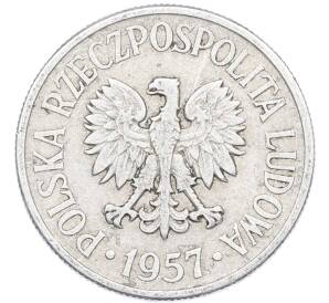 50 грошей 1957 года Польша — Фото №1