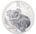 Монета 1 доллар 2025 года Австралия «Коала» (Артикул: K10-3268) — Фото №1