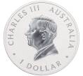 Монета 1 доллар 2025 года Австралия «Коала» (Артикул: K10-3268) — Фото №2