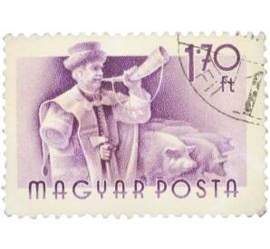 Почтовая марка 1.70 форинта 1955 года Венгрия «Профессии — Свинопас» — Фото №1
