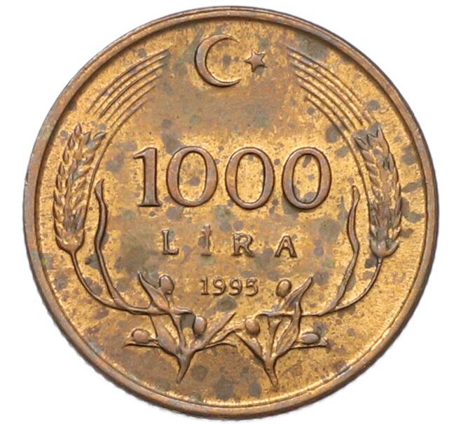 Монета 1000 лир 1995 года Турция (Артикул: K12-80181) — Фото №1
