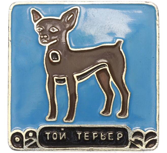Значок «Той терьер» (Артикул: K12-80201) — Фото №1